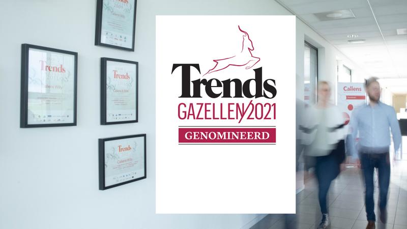 trends gazellen