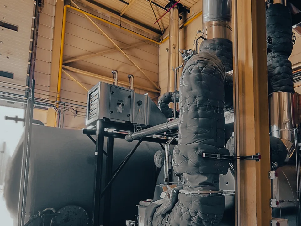Callens TO Syng 2
